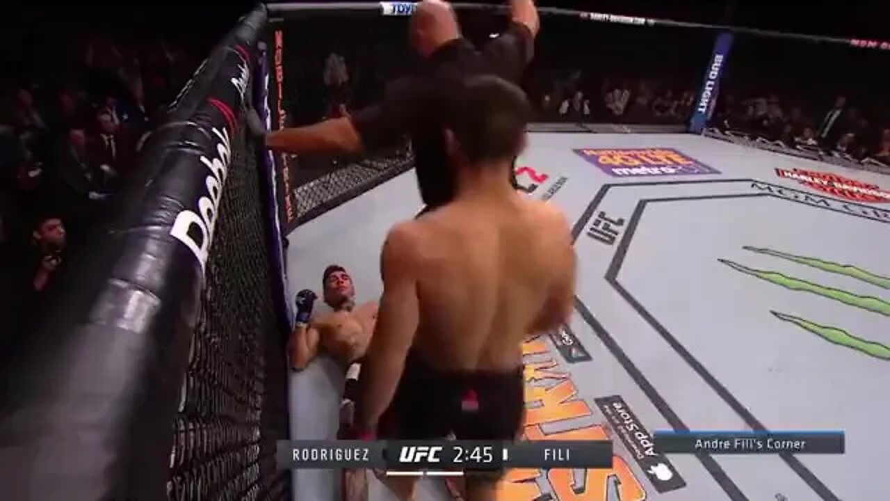 MMA Flying Headkick KO UFC