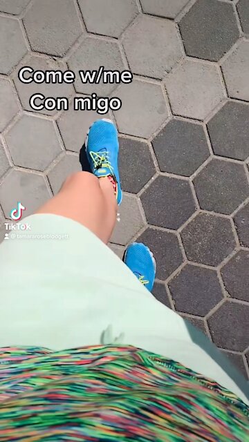 Getting the walls in now 🦥