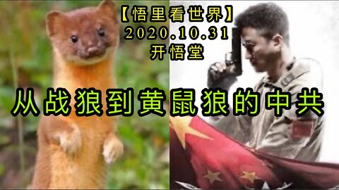 【悟里看世界】KWT143 201031－07 czldhsl 从战狼到黄鼠狼的中共
