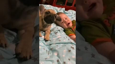 Baby and Dog Crying on the bed