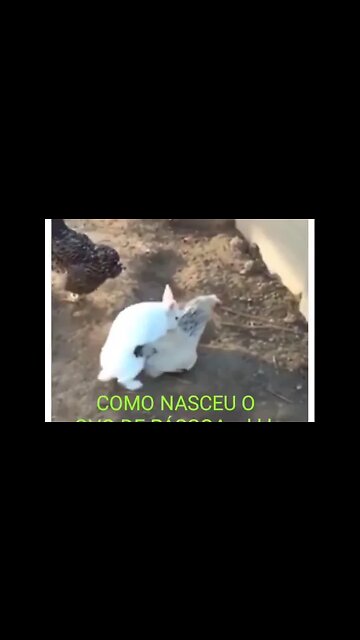 Surgimento do ovo de páscoa