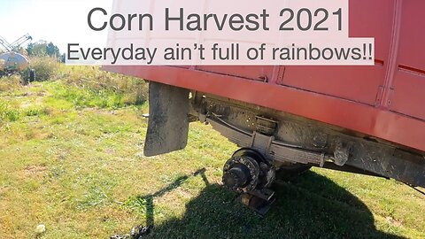 Corn Harvest 2021 Everyday ain't full of rainbows