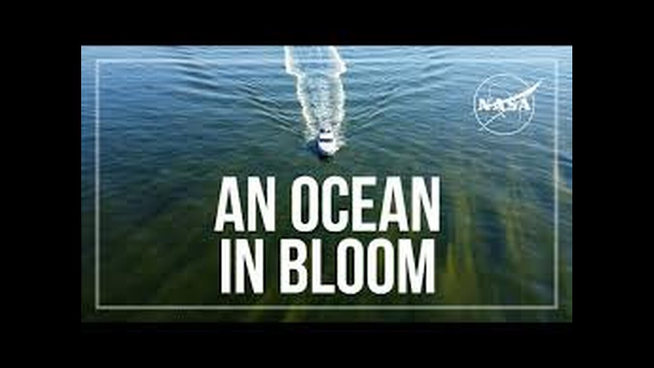 An Ocean in Bloom