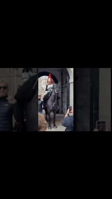 Tourist told to Get back #horseguardsparade