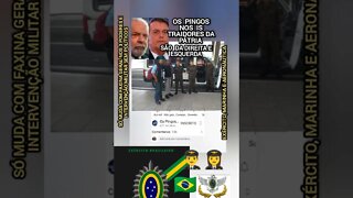 Pingos nos Is Traidores😡Não querem Intervenção