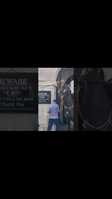 STAND CLEAR HE TRIED A SECOND TIME TO GO THROUGH FILL VIDEO IN THE LINK #thekingsguard