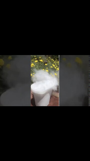 Terrifying Carbon Pollution