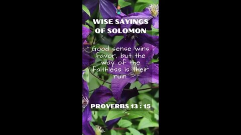 Proverbs 13:15 | Wise Sayings of Solomon