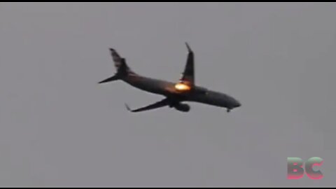 American Airlines plane engine catches fire after bird strike