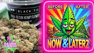 Trying Now & Laterz THCa from Black Tie CBD! The Dank Flamingo Cannabis Review!!