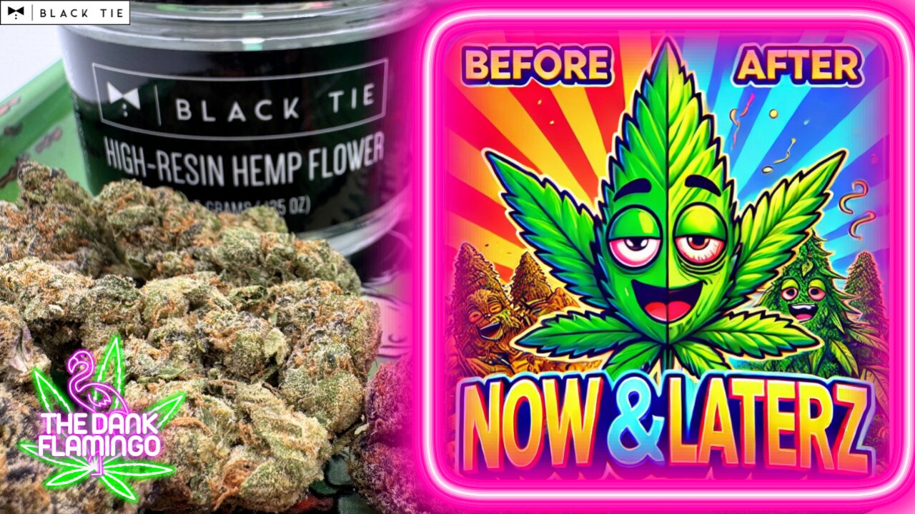 Trying Now & Laterz THCa from Black Tie CBD! The Dank Flamingo Cannabis Review!!