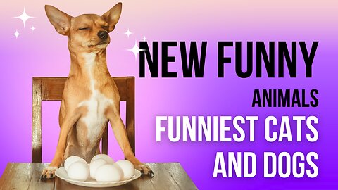 New Funny Animals 😂 Funniest Cats and Dogs Videos 😺🐶