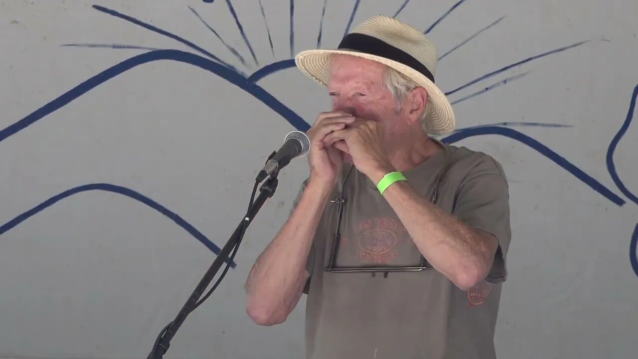 Wayne Childress - Soldier's Joy (2nd Place Harmonica)