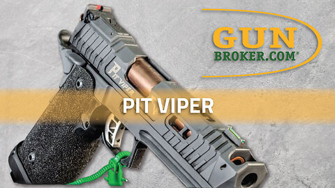 Guns of John Wick: TTI Pit Viper Pistol - The Bowery King's Gift in Part 4 | GunBroker | #pitviper