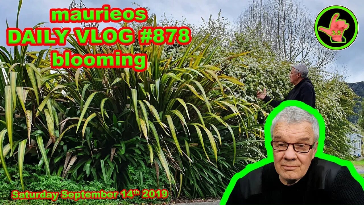 maurieos DAILY VLOG #878 blooming