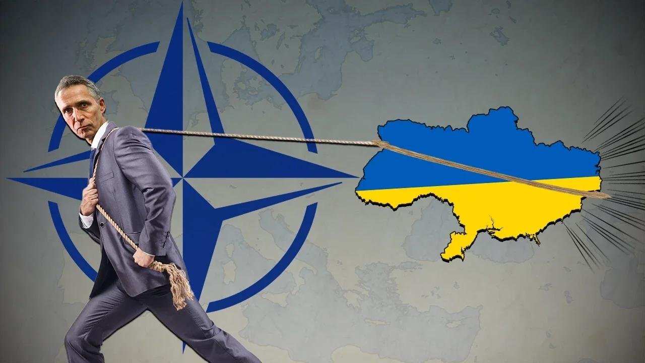 Moving Ukraine Closer to NATO - #NewWorldNextWeek