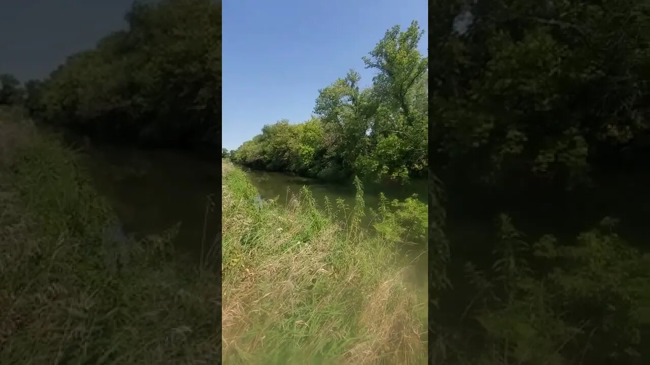 beautiful shot of farmland and murkey river
