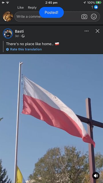 Basti song in polish