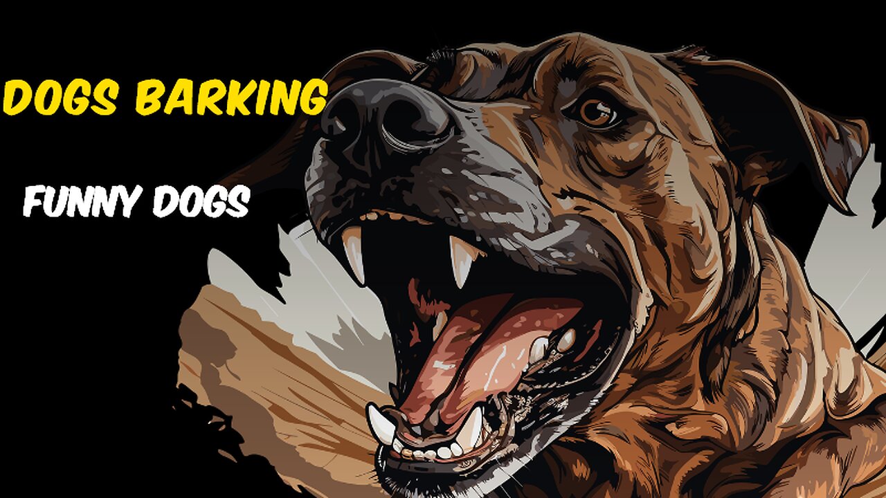 πΆπ TOP 10 Dog Barking Videos Compilation 2016 πΎπ | Dog Barking Sound & Funny Moments ππ