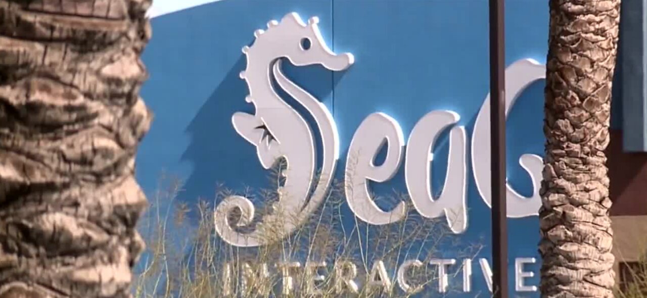 No more sloths allowed at SeaQuest after second animal death in less than a year