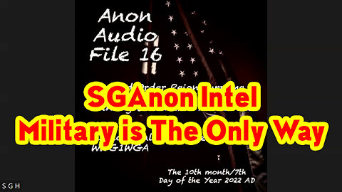 SGAnon HUGE 11.15.22 - American Patriot Hero