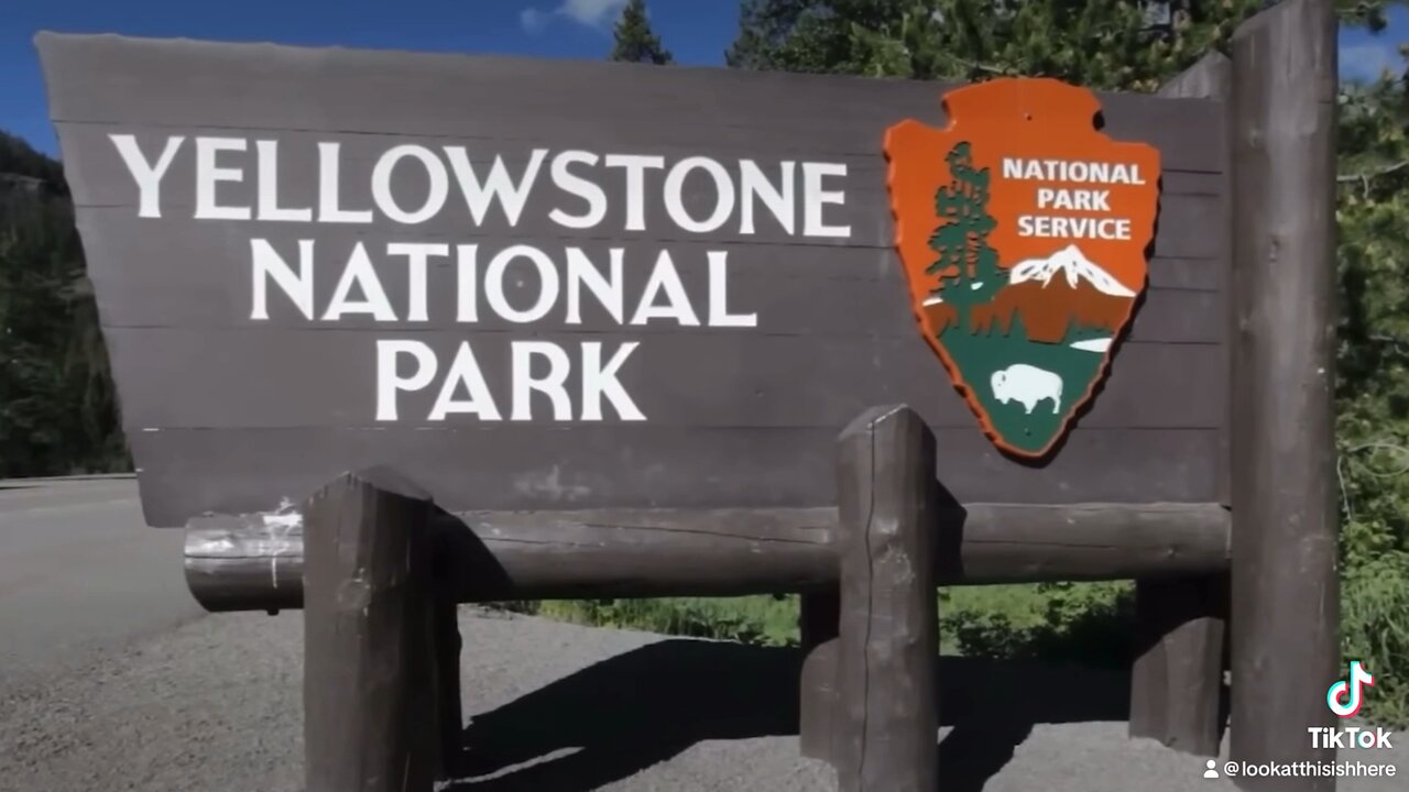 Elon Musk Is Worried About Yellowstone