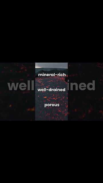 Volcanic Wines 🌋🤯🍷