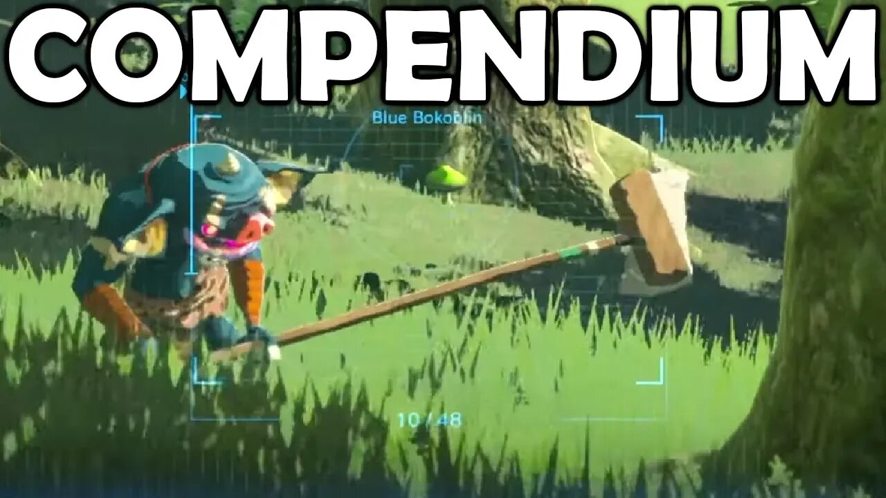COMPENDIUM KALEIDOSCOPE | Breath of the Wild | Zelda BotW | Basement | S3E53