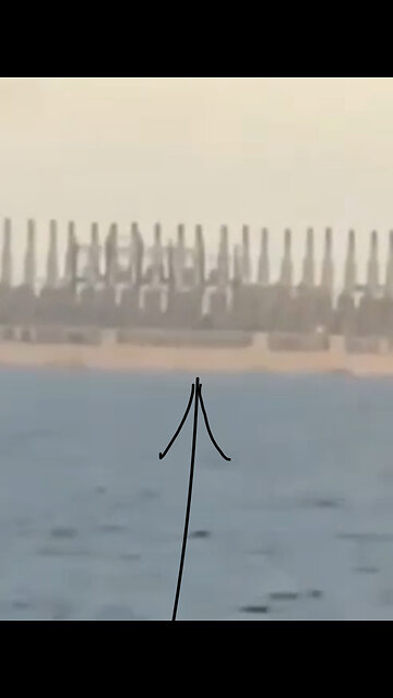 A "mystery" ship that was seen near Valencia days before the unusual event.