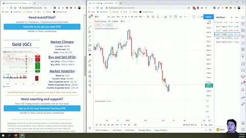 AutoUFOs 3-D Market Commentary (Bojan Petreski) 2021 Mar-9