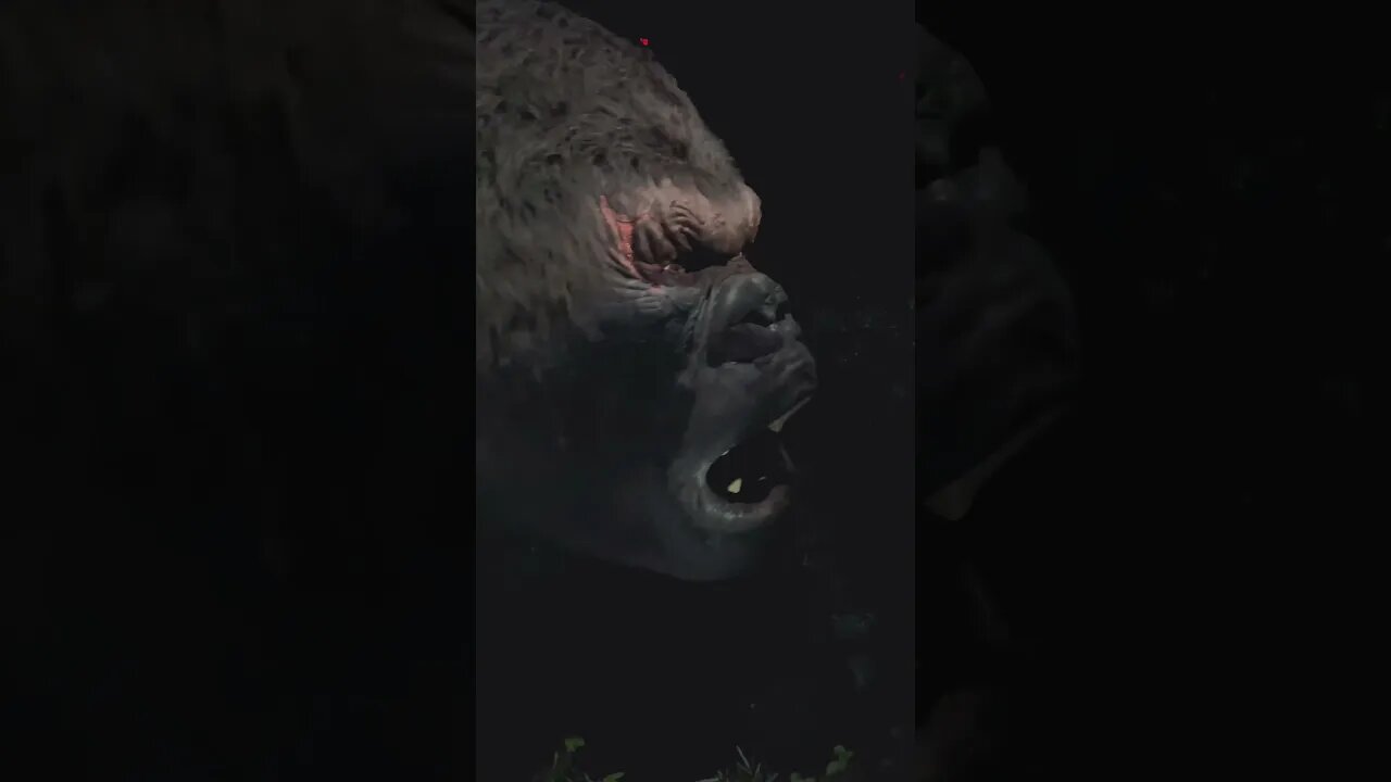 Kong Reigns 🦍