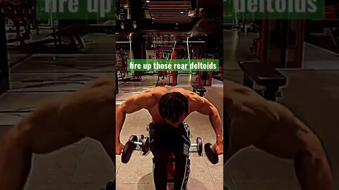 NOTE ELBOW PLACEMENT during seated rear delt fly #shorts #youtubeshorts