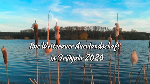 Wetterauer Auenlandschaft