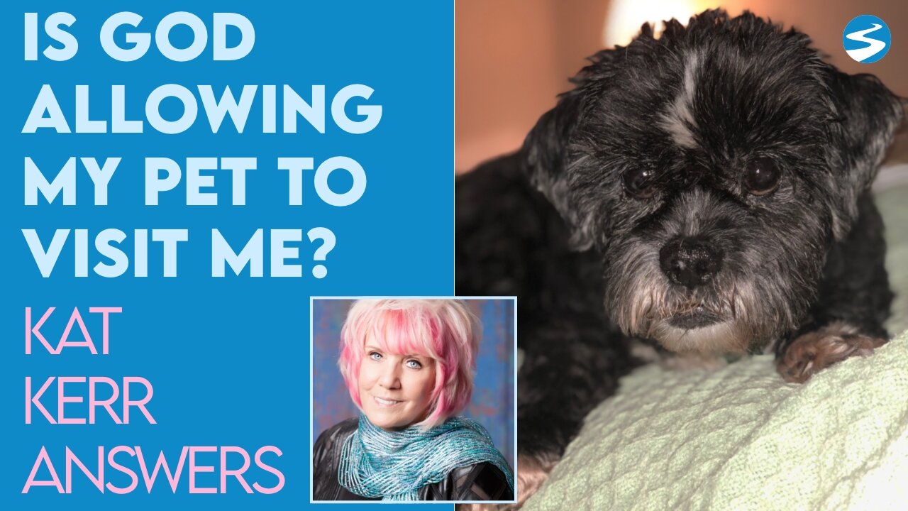 Kat Kerr: Is God Allowing My Pet to Visit Me in My Dreams? | Feb 9 2022