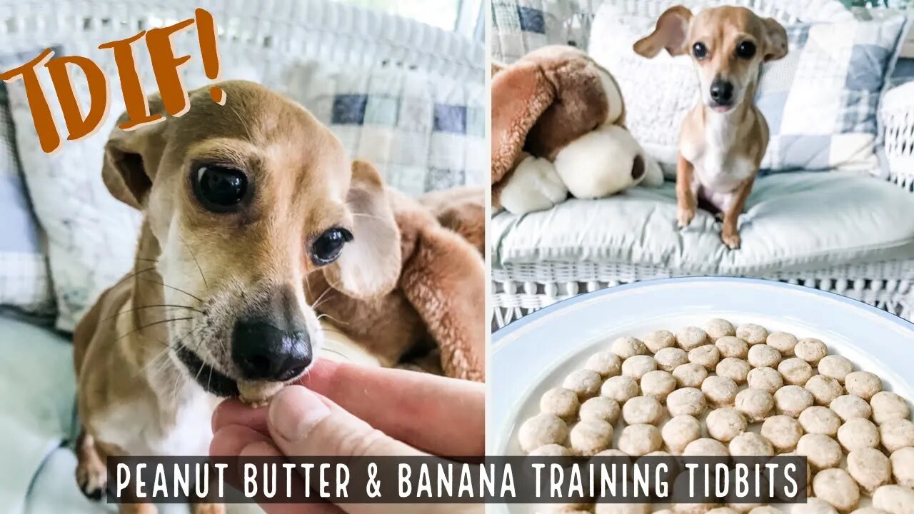 Homemade Peanut Butter & Banana Training Tidbits