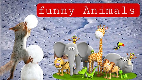 Funny Animal #animals #funnyvideo #funnyshorts #funnyanimals