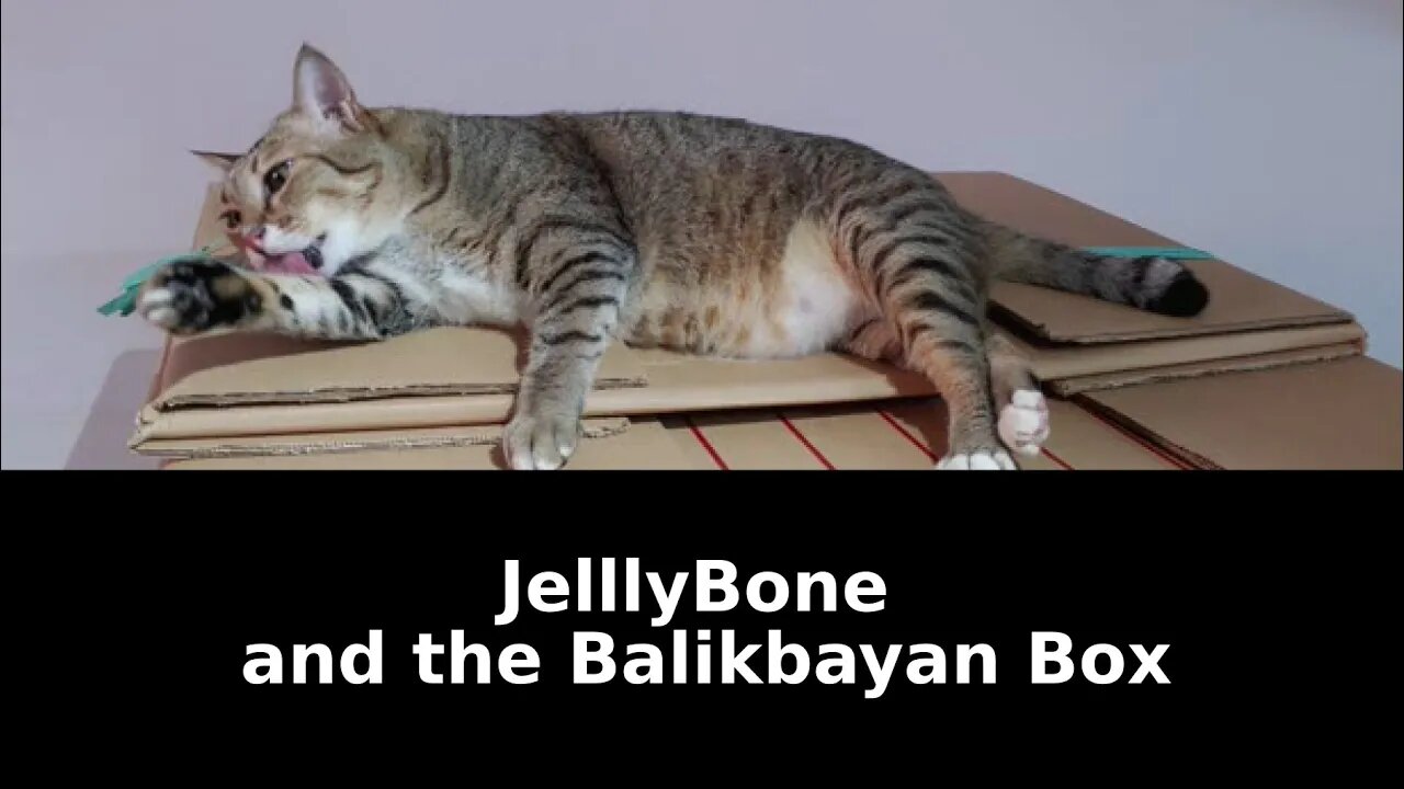 JellyBone is Checking Out the Balikbayan Box - We Really Will Miss This Boy