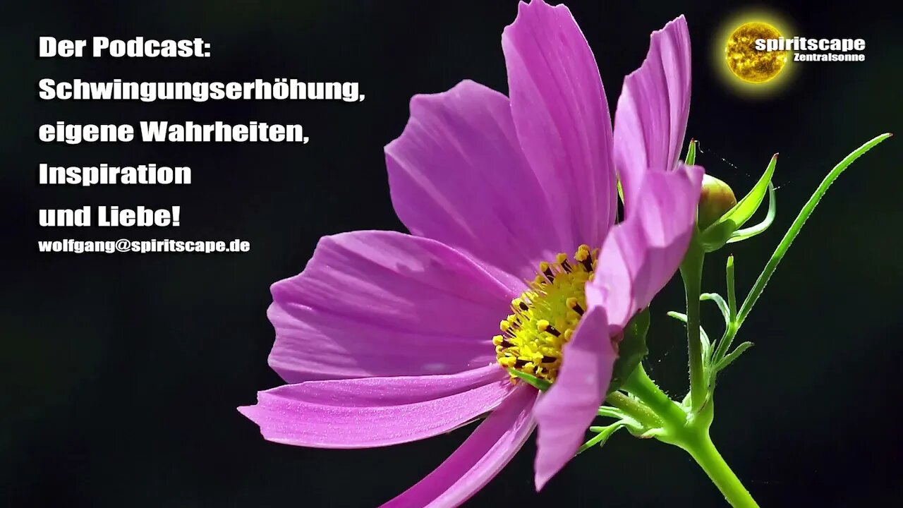 In der 5. Dichte lernen wir anders