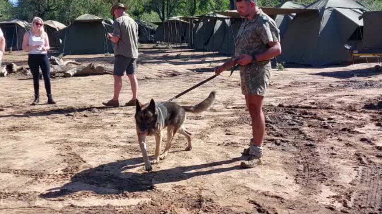 Kruger National Park, the heart of South Africa's bush.