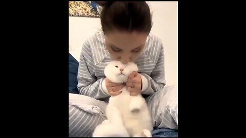 Cats lovers kiss 😘😘