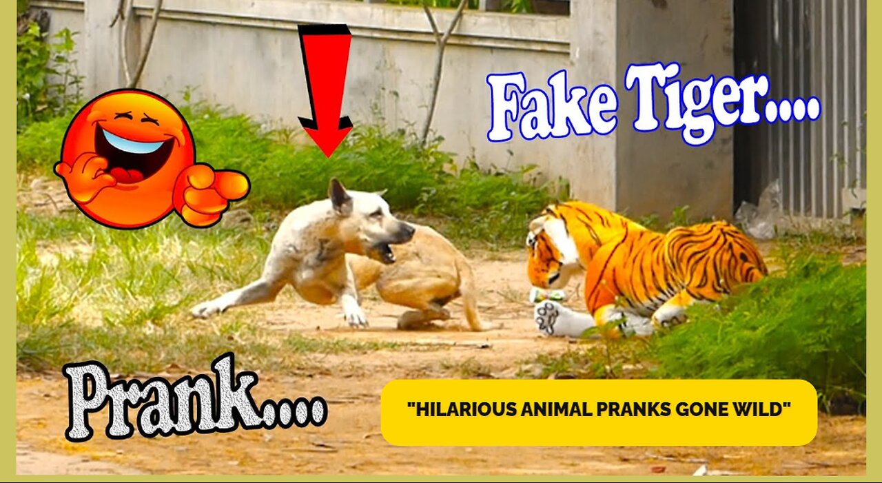 "Hilarious Animal Pranks Gone Wild: When Humans Take Laughter to the Animal Kingdom!"