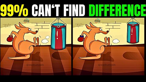 Spot The Difference : 99% CAN'T Find [ Find The Difference #8]