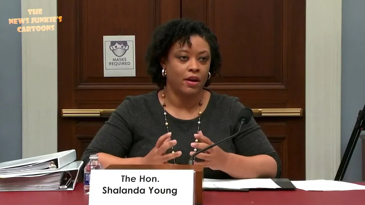 Biden's OMB director Democrat Shalanda Young trying to explain 'birthing person' term.