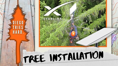 Installing My Starlink In a Tree