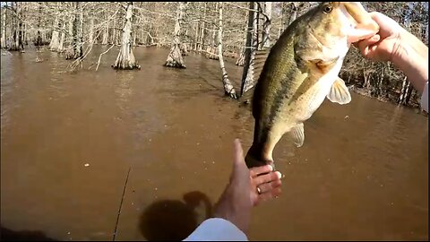 Bass Fishing Spring Frontal Conditions