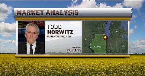 Grains, Livestock, Equities: No Interest in Going Anywhere
