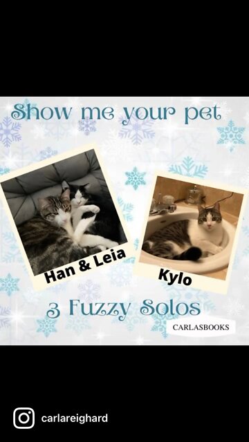 What’s your pet named after