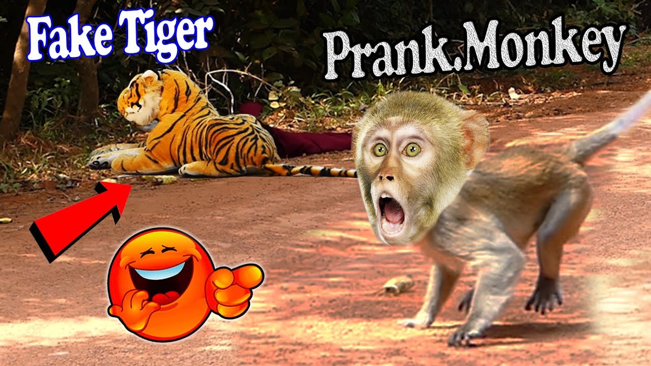 Tiger And Monkeys Prank In 2023, Amazing Running and Flying Fake Tiger and Wild Monkeys.