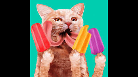 cat / cat funny 2022 / amazing funny cat / funny cat eat ice cream