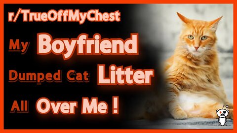 My Boyfriend Dumped Dirty Cat Litter On Me! | Reddit | r/TrueOffMyChest | Tell All